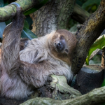 mindfulness and the relaxation response