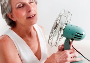 menopause hot flash hormones diet and meal plan