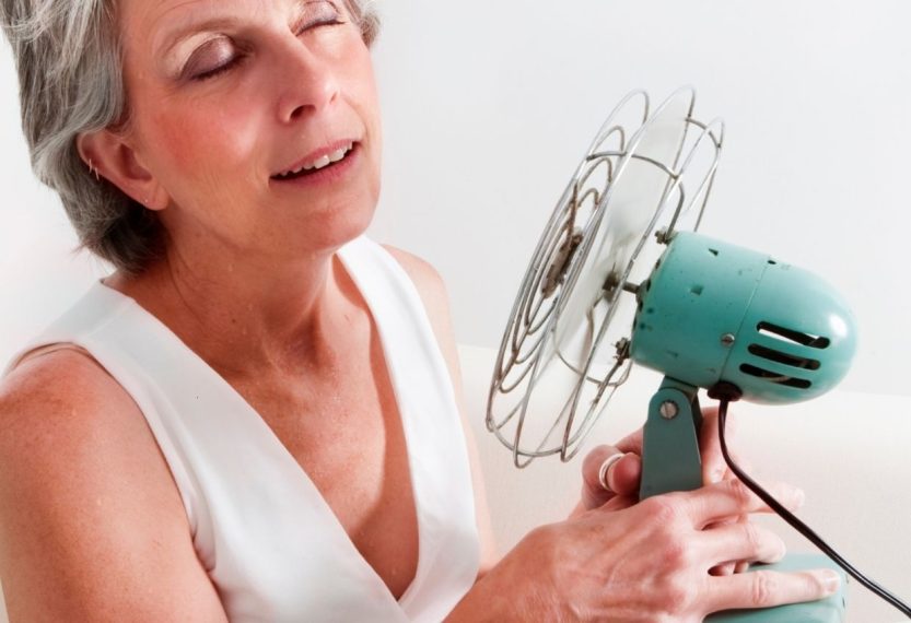 menopause hot flash hormones diet and meal plan